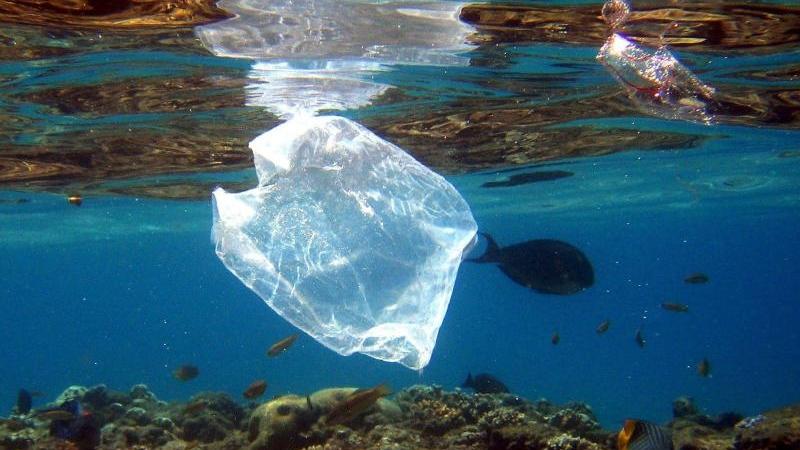 Die UN warnt Bald mehr Müll als Fische im Meer