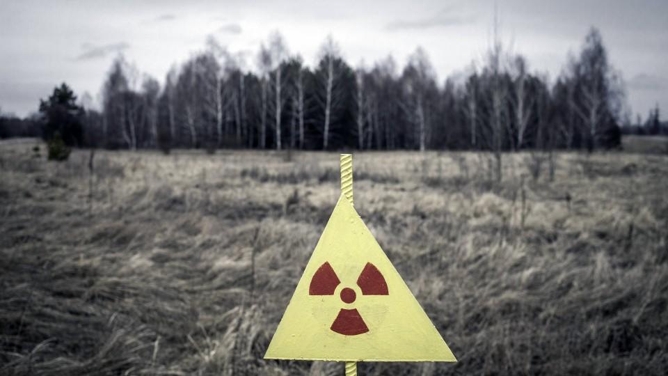 Waldstück in der kontaminierten Zone, zwischen Pripjat und Tschernobyl, Ukraine, Europa ibxfba04093038.jpgForest in the contaminated Zone between Pripyat and Chernobyl Ukraine Europe ibxfba04093038 JPG