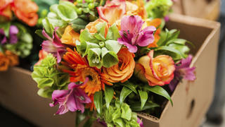 gerbera, tulips and mix of summer flowers bouquet for the wedding in the Florida