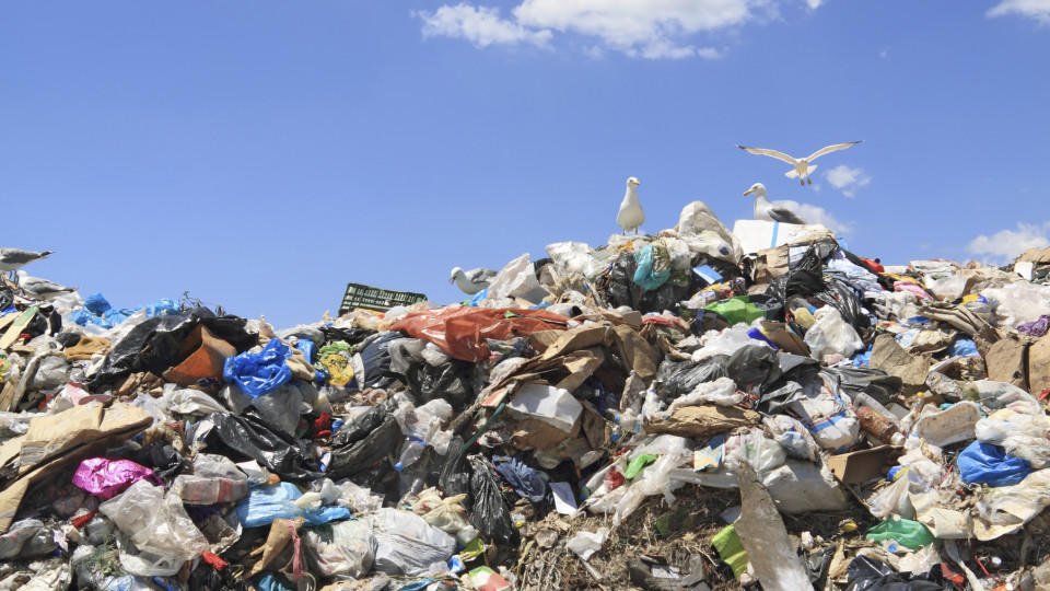 Plastikmüll: EU hat Pläne für Recycling