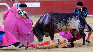 epaselect epa05417590 Spanish bullfighter Victor Barrio (bottom), 29, is gored during a bullfight held on the occasion of Feria del Angel in Teruel, Aragon (Spain), 09 July 2016. Barrio died due to the injures after being seriously gored by his third bull. EPA/ANTONIO GARCIA +++(c) dpa - Bildfunk+++