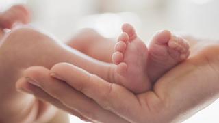Mother cradling newborn baby s feet Mother cradling newborn baby s feet. PUBLICATIONxINxGERxSUIxHUNxONLY CAIAxIMAGEx/xSCIENCExPHOTOxLIBRARY F013/7186Mother Cradling Newborn Baby S Feet Mother Cradling Newborn Baby S Feet PUBLICATIONxINxGERxSUIxHUNxONLY CAIAxIMAGEx xSCIENCExPHOTOxLIBRARY  