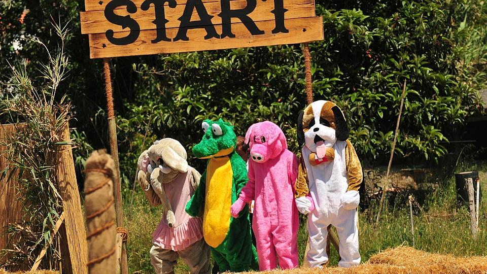 In putzigen Tierkostümen müssen die Herren im "Sommerhaus der Stars" das Parcours-Spiel antreten