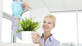 Young secretary watering houseplant in office