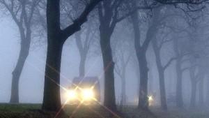 Dichter Nebel herrscht in den frühen Morgenstunden des 27.11.2001 auf der Bundesstraße 5 in Brandenburg und behindert den Berufsverkehr.