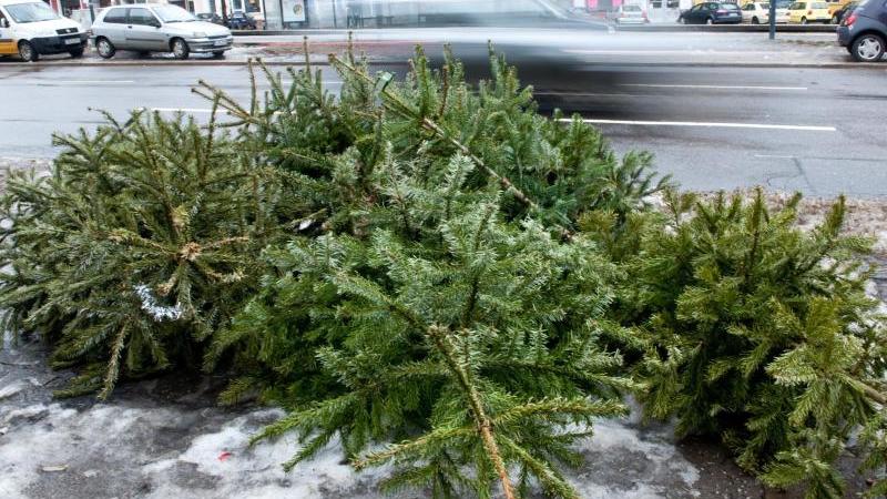eine-moglichkeit-den-weihnachtsbaum-zu-entsorgen-ihn-vor-die-haustur-legen-in-vielen-stadten-holen-ihn-dort-zu-bestimmten-terminen-die-mullentsorger-ab-foto-andrea-warnecke