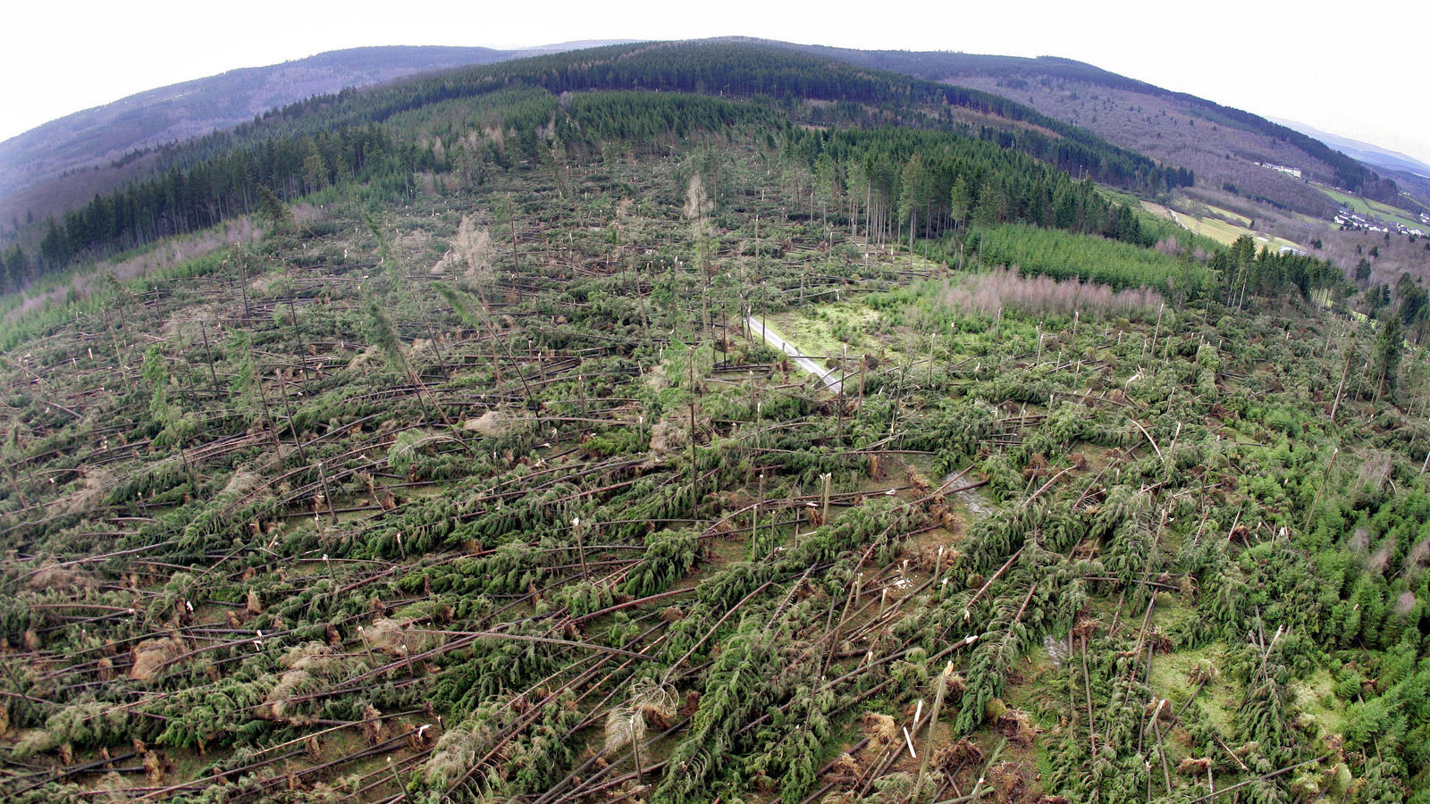 Von Orkan 'Kyrill' verwüstete Waldfläche: Entwurzelte und abgebrochene Bäume liegen in der Nähe von Wilmsdorf (Kreis Siegen-Wittgenstein) an einem Hang. (Foto vom 20.01.2007)