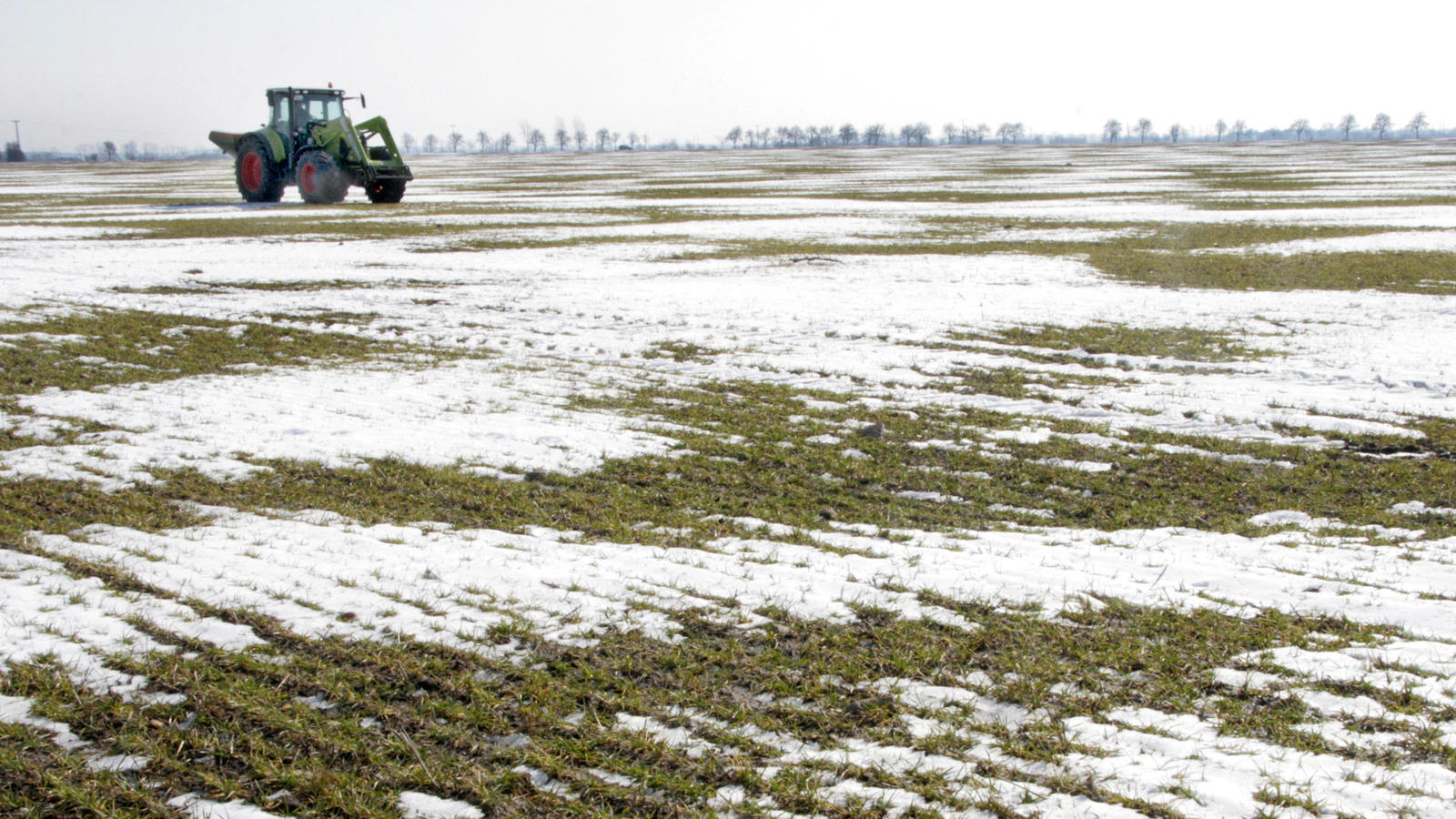 Der extreme Frost macht den Landwirten zu schaffen.