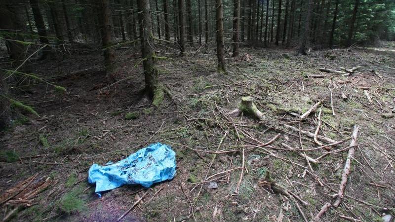 In diesem Waldstück bei Rodacherbrunn in Thüringen fand ein Pilzsammler das Skelett der vermissten Peggy. Foto: Daniel Karmann/Archiv