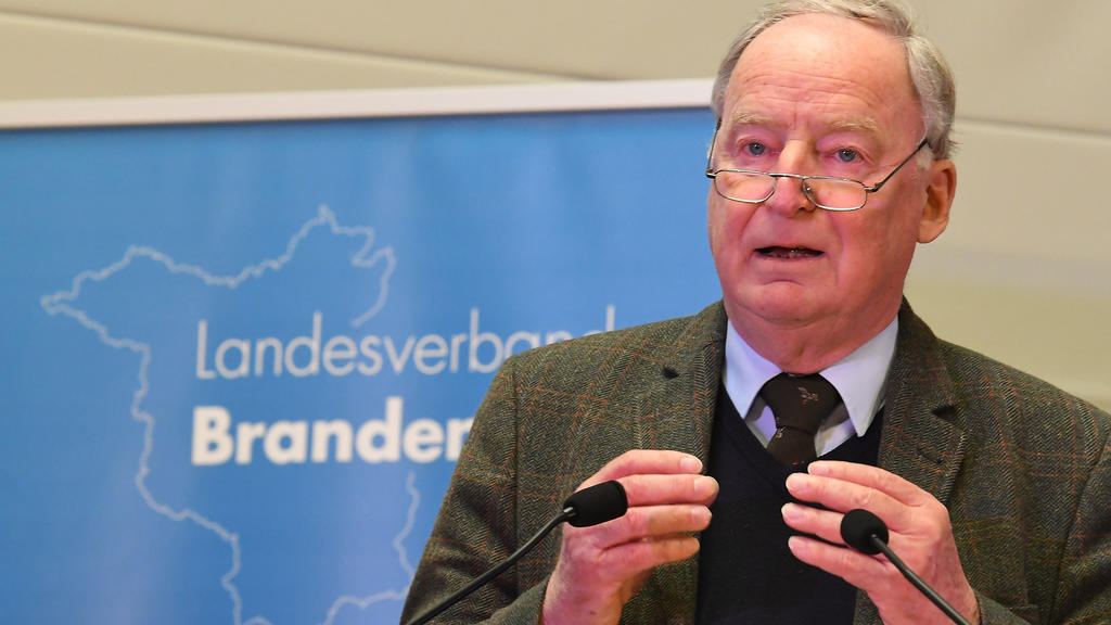Der Landesvorsitzende Alexander Gauland spricht am 08.04.2017 in Frankfurt (Oder) (Brandenburg) auf dem Landesparteitag der AFD. 