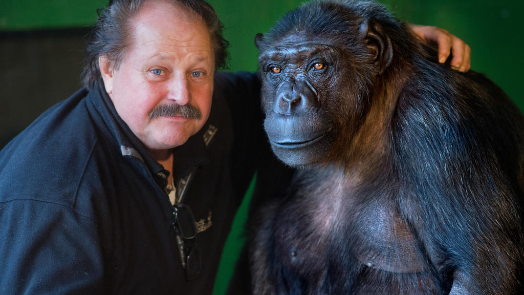 ARCHIV - Zirkusdirektor Klaus Köhler (l) und Schimpanse Robby sitzen am 03.12.2015 in Robbys Gehege am Zirkus «Belly» in Celle (Niedersachsen). Um die zukünftige Unterbringung des wohl letzten Menschenaffen in einem deutschen Zirkus geht es am 27.04.