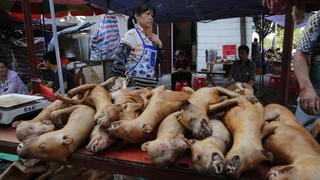 ARCHIV - Hundefleisch wird am 21.06.2016 auf dem Hundefleisch-Festival in Yulin, Guangxi, China angeboten. Im Kampf gegen das umstrittene Hundefleisch-Festival in China haben Tierschützer erreicht, dass die Stadt Yulin Restaurants, Straßenständen und Markthändler in diesem Jahr verbieten wird, Hundefleisch während des Festes zu verkaufen. (zu dpa Aktivisten: China verbietet Hundefleisch-Verkauf auf Festival vom 18.05.2017) Foto: Wu Hong/EPA/dpa +++(c) dpa - Bildfunk+++