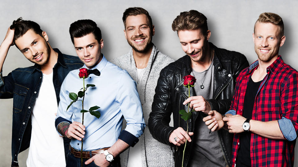 Auch sie hoffen auf die erste Rose von der Bachelorette: Arnold, Andre, Alex, David und Jens