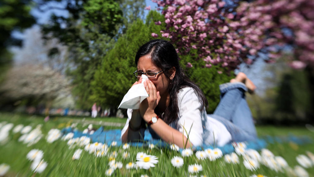 FILE - ILLUSTRATION - A young woman lies on a meadow in Hamburg on April 24, 2011 and sneezes into a tissue (photo taken with a special lens).  Coughs and colds are getting worse year after year: allergy sufferers already feel it today 