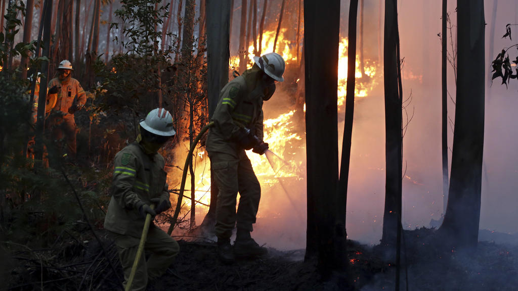 Mehr als 60 Tote nach Waldbrand in Portugal Flammen