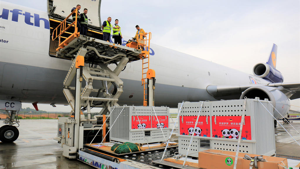 HANDOUT - Das von der chinesischen Nachrichtenagentur Xinhua veröffentlichte Bild zeigt am 24.06.2017 zwei Transportboxen vor einer Frachtmaschine an einem Flughafen in Chengdu (China), in denen sich die Pandas «Meng Meng» (Träumchen) und «Jiao Qing»