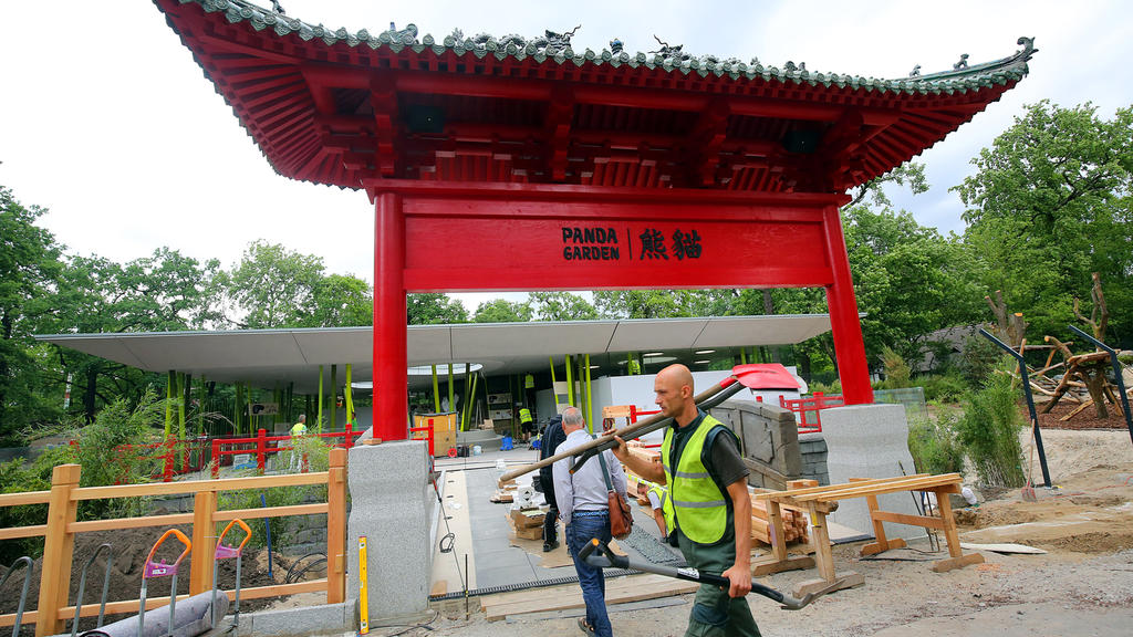 ARCHIV - Bauarbeiter verrichten am 13.06.2017 im neuen Panda-Gehege im Berliner Zoo letzte Arbeiten, bevor die Pandas aus China eintreffen. (zu dpa: «Bären im Anflug - Berliner Zoo erwartet chinesische Pandas» vom 23.06.2017) Foto: Wolfgang Kumm/dpa