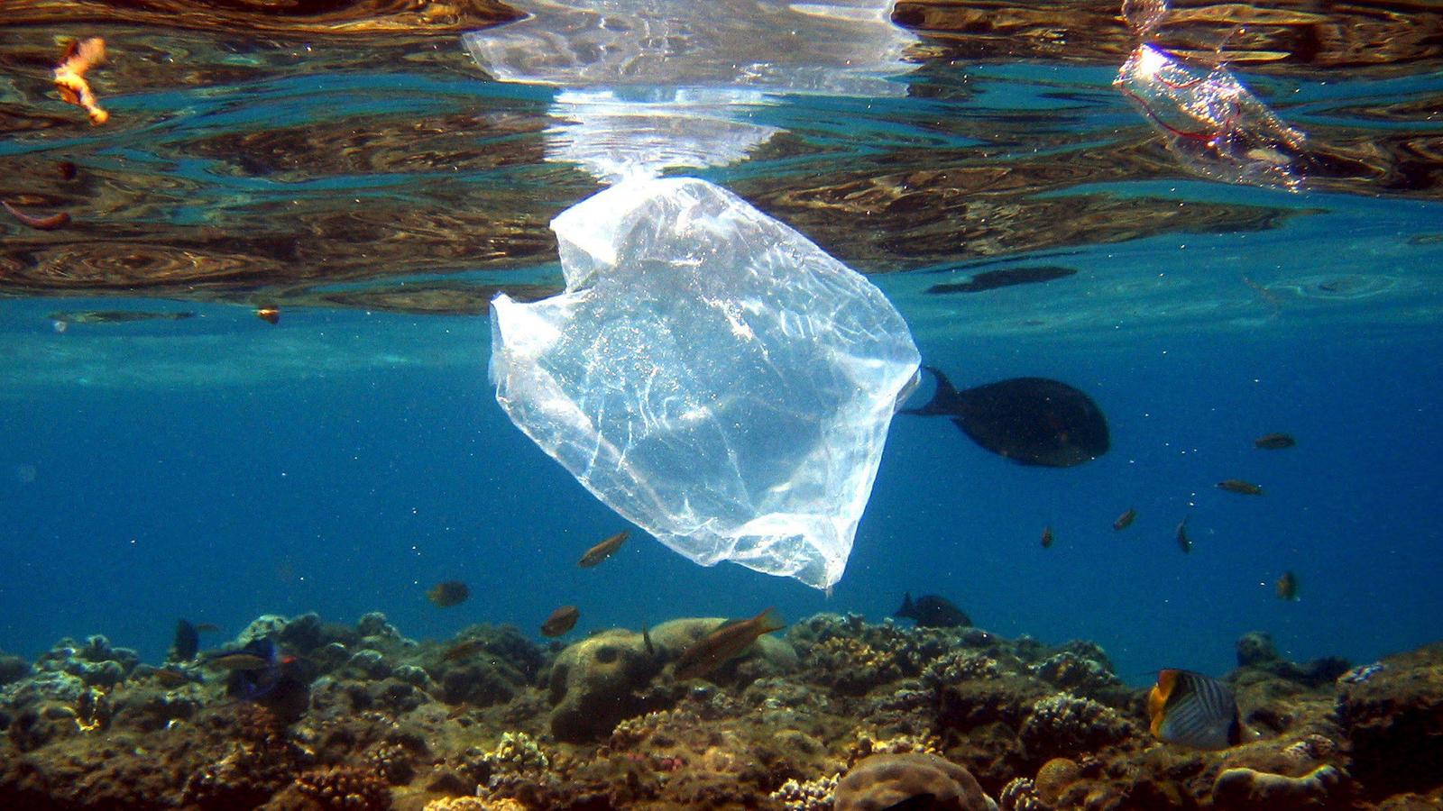 ARCHIV - Eine Plastiktüte schwimmt über Korallen im Roten Meer in Ägypten am 01.08.2007. Die Vermüllung der Meere steht im Mittelpunkt einer am 30.05.2017 beginnenden dreitägigen Konferenz mit Vertretern der G20-Staaten in Bremen. (zu dpa "Konferenz 