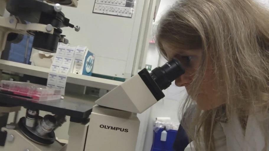 Dr. Claudia Friesen vom Universitätsklinikum Ulm schaut durch ein Mikroskop.