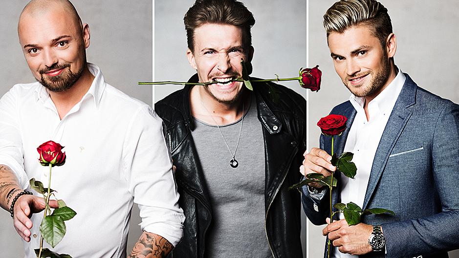 Niklas, David und Johannes dürfen weiterhin um Jessicas Herz kämpfen.