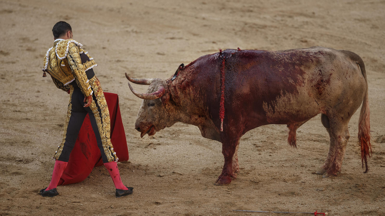 Der spanische Stierkämpfer (Matador) Alejandro Talavante kämpft am 24.05.2017 in Madrid, Spanien, in der Las Ventas Stierkampfarena gegen einen Bullen der Nunez del Cubillo Ranch. 