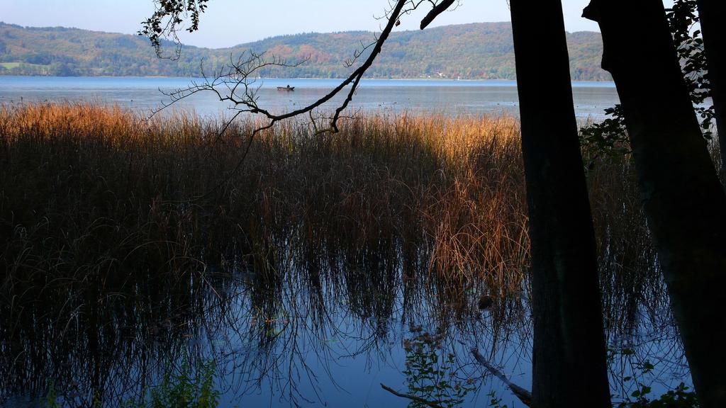 Der Laacher See ist Zeitzeuge vom Vulkanismus in der Eifel.