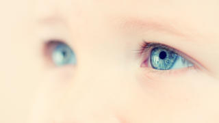 Child Eyes[url=http://www.istockphoto.com/file_search.php?action=file&lightboxID=8732164][img]http://www.avalonstudio.eu/istock/vetta.jpg[/img][/url][url=http://www.istockphoto.com/file_search.php?action=file&lightboxID=6188430][img]http://www.avalonstudio.eu/istock/baby_small.jpg[/img] [/url][url=file_closeup.php?id=17066573][img]file_thumbview_approve.php?size=1&id=17066573[/img][/url] 