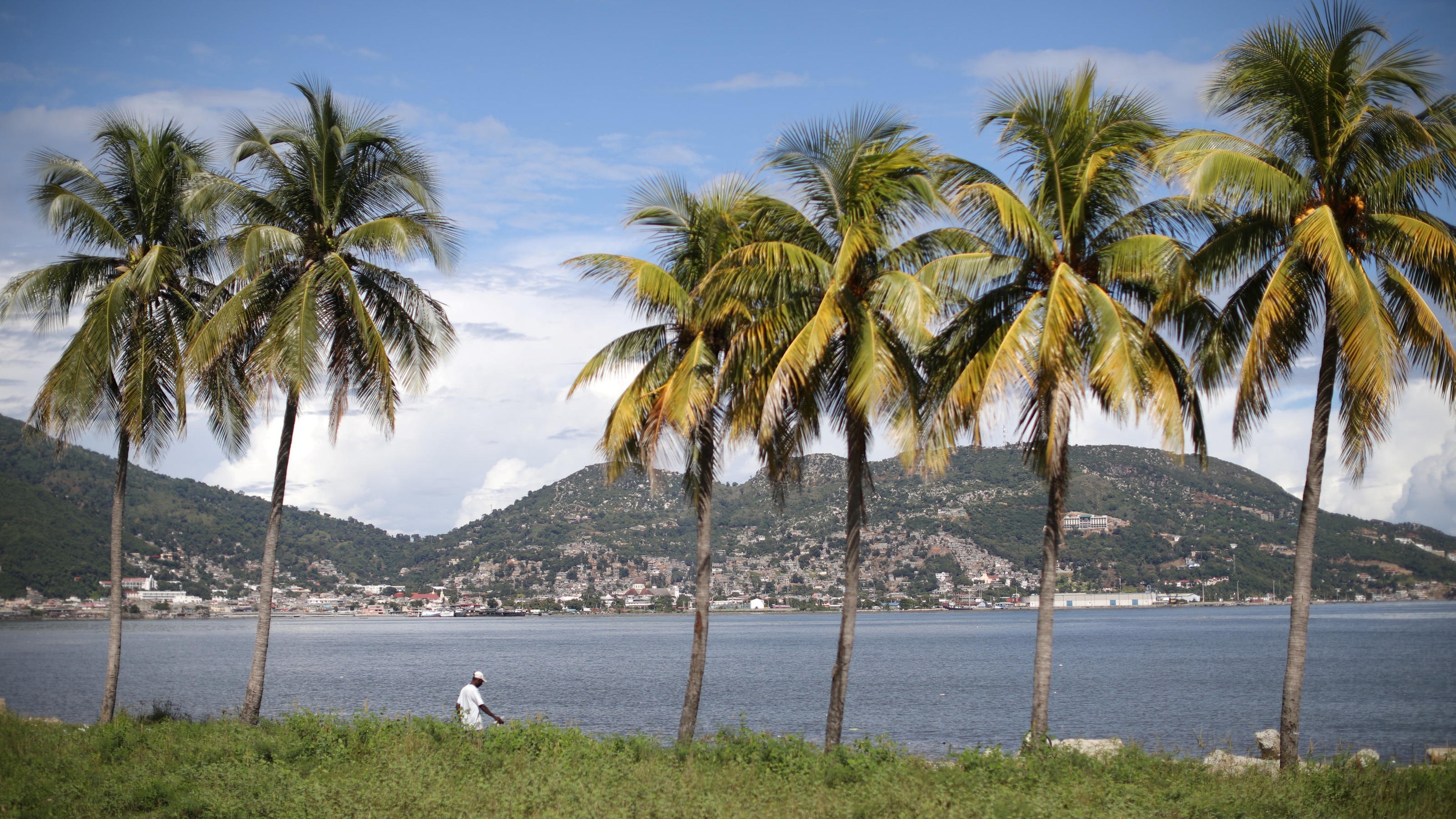 Palmenstrand in Cap-Haitien, Haiti,