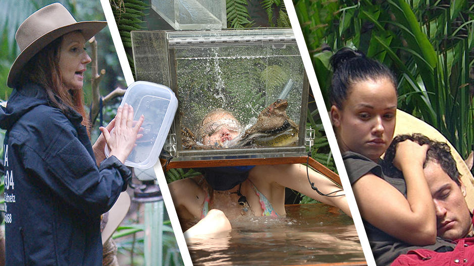 IBES 2018: Hanke, Larissa, Kim und Rocco