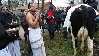 Hindu Priester Prasad Agilandam betet am 17.01.2018 in Bremen neben der Kuh "Madel" von Landwirt Frank Imhoff. "Madel" soll über das Baugrundstück eines neu geplanten Hindu-Tempels laufen. Da die Kuh bei den Hindus heilig ist, soll sie prüfen ob das Grundstück ein guter Ort für den Tempel ist. Foto: Carmen Jaspersen/dpa +++(c) dpa - Bildfunk+++