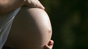 Eine im neunten Monat schwangere Frau zeigt ihren Bauch, aufgenommen im brandenburgischen Briesen am 22.09.2007. Foto: Patrick Pleul +++(c) dpa - Report+++