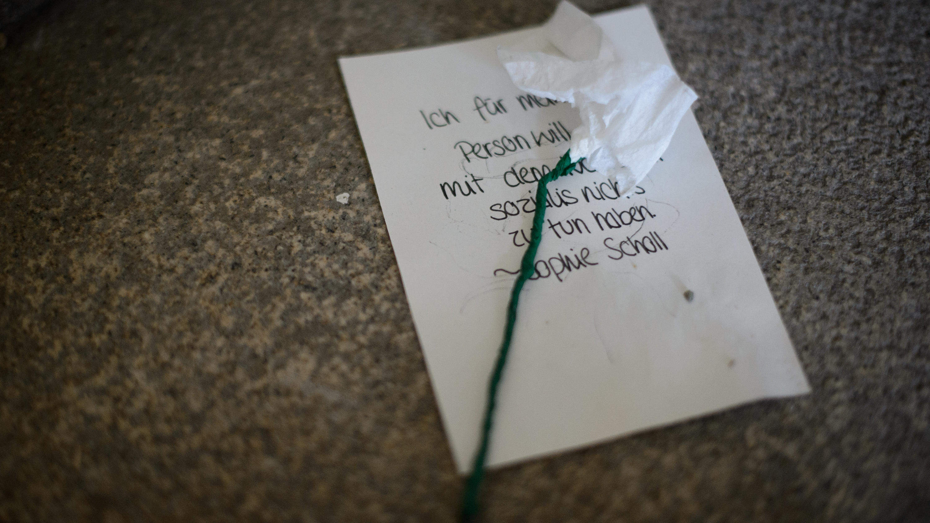 Eine weiße Rosen aus Papier liegt im Hans und Sophie Scholl-Gymnasium auf einem Blatt mit einem Zitat. Die Schüler erinnern an Hans und Sophie Scholl, die 1943 wegen ihres Widerstands gegen die Nationalsozialisten 
