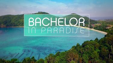 Zweite Staffel für "Bachelor in Paradise": Die Liebessuche ...