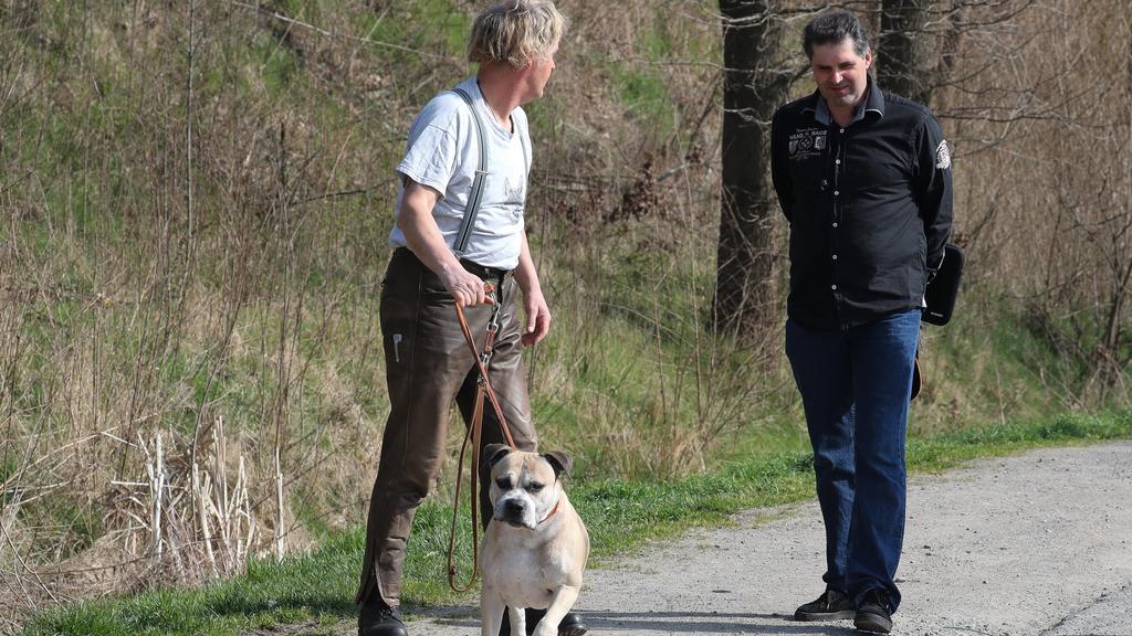Tierheim Hannover: Kampfhund Chico ohne Maulkorb