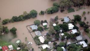 Nach verheerenden Überschwemmungen droht den Australiern nun eine Schlangeninvasion