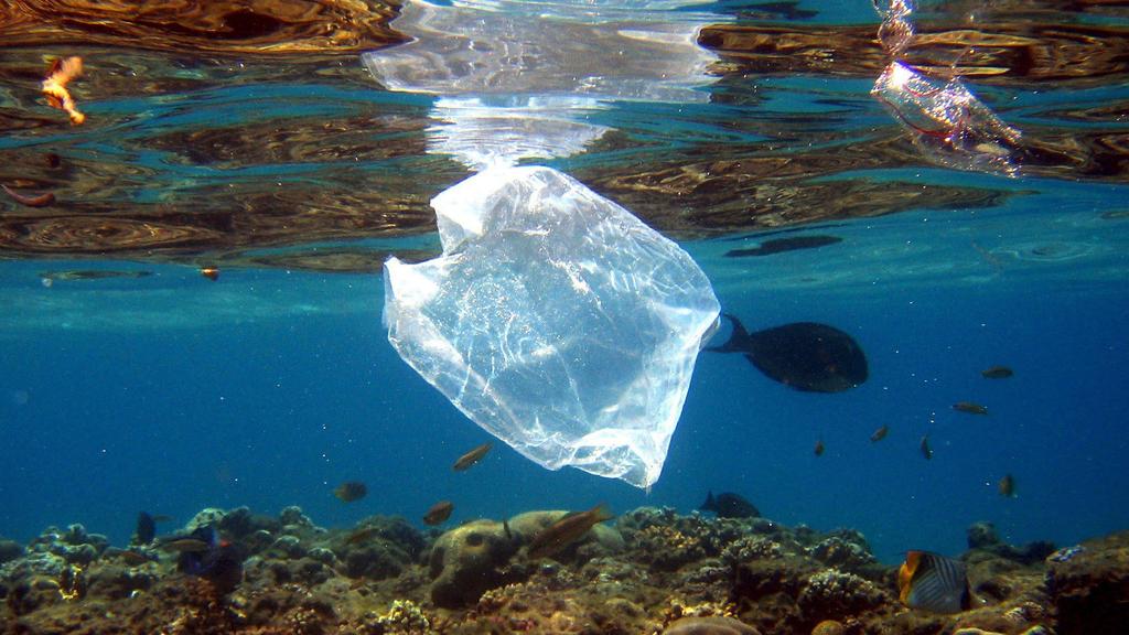 ARCHIV - Eine Plastiktüte schwimmt über Korallen im Roten Meer in Ägypten am 01.08.2007. Die Vermüllung der Meere steht im Mittelpunkt einer am 30.05.2017 beginnenden dreitägigen Konferenz mit Vertretern der G20-Staaten in Bremen. (zu dpa "Konferenz 