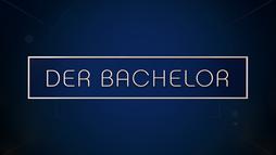 Der Bachelor