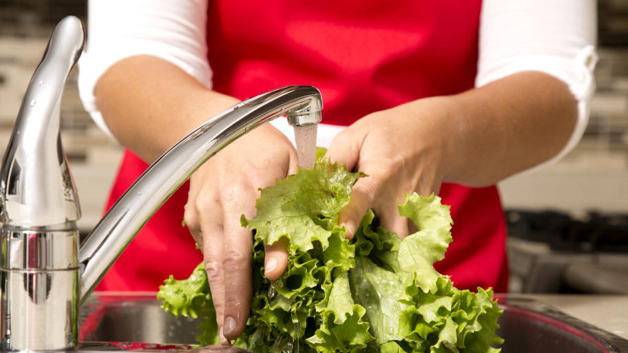 Darum sollten Sie Salat zupfen statt schneiden! Mit diesen Tipps bleibt Salat länger frisch