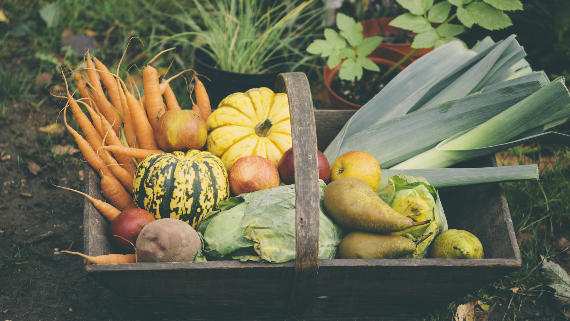 Die besten Cholesterinsenker So bleibst du gesund!