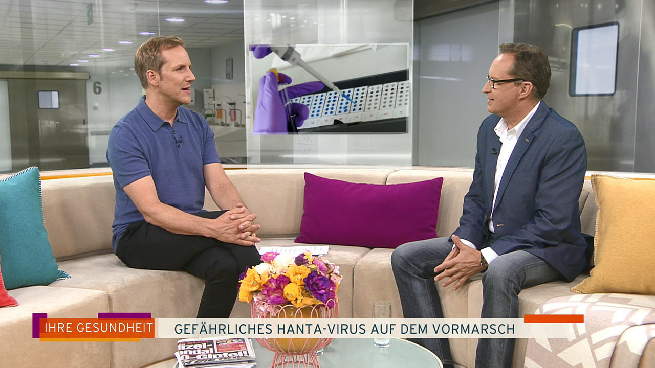 Hanta-Virus: Wann Sie zum Arzt gehen sollten Dr. Christoph Specht klärt auf