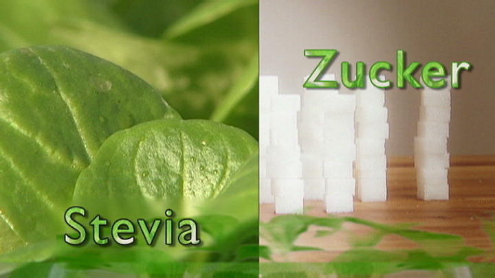 Wie gut sind Produkte mit Stevia? 300-mal süßer als Zucker