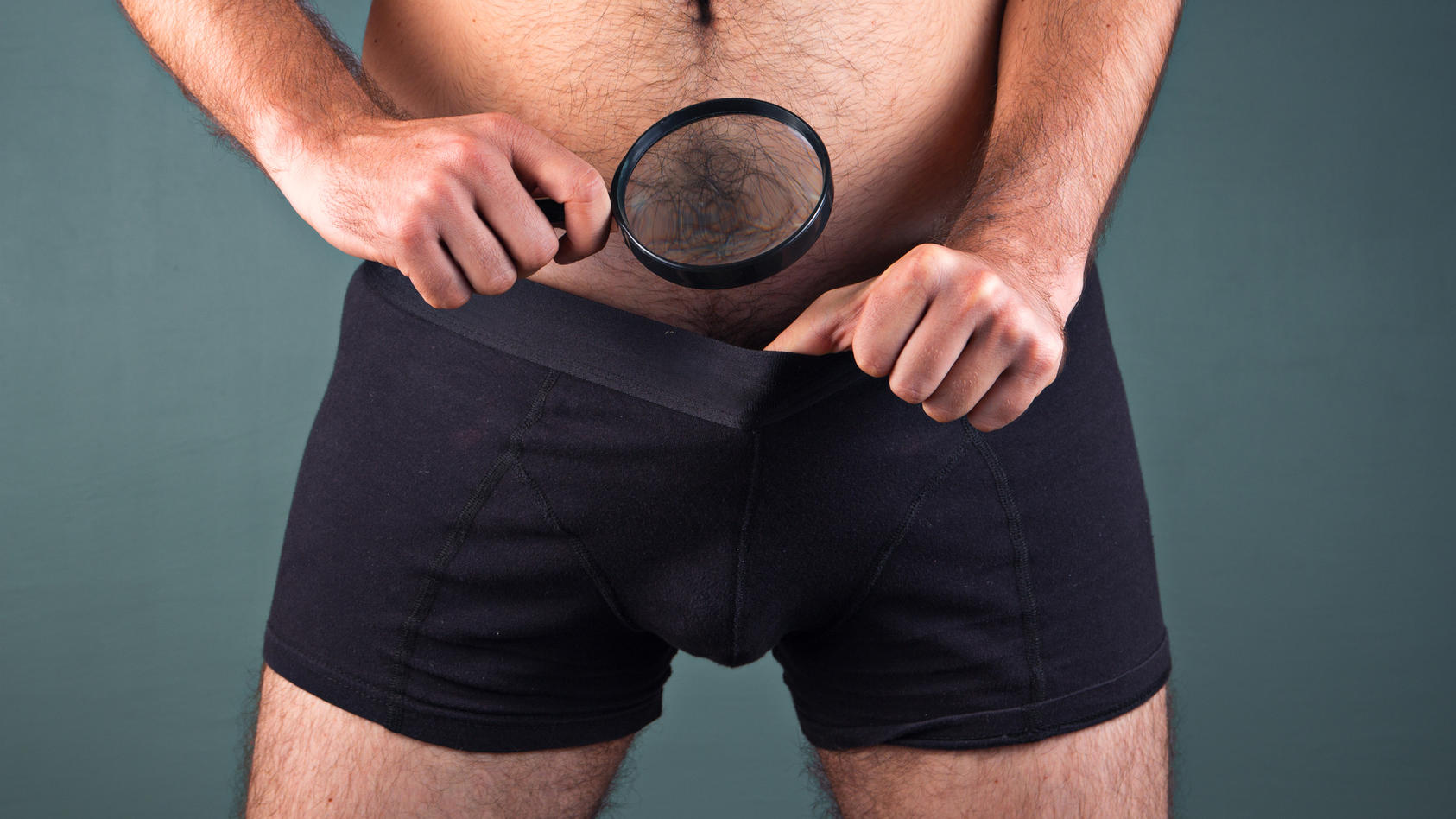 12 unglaubliche Unterleib-Fakten Vagina & Penis im Duell