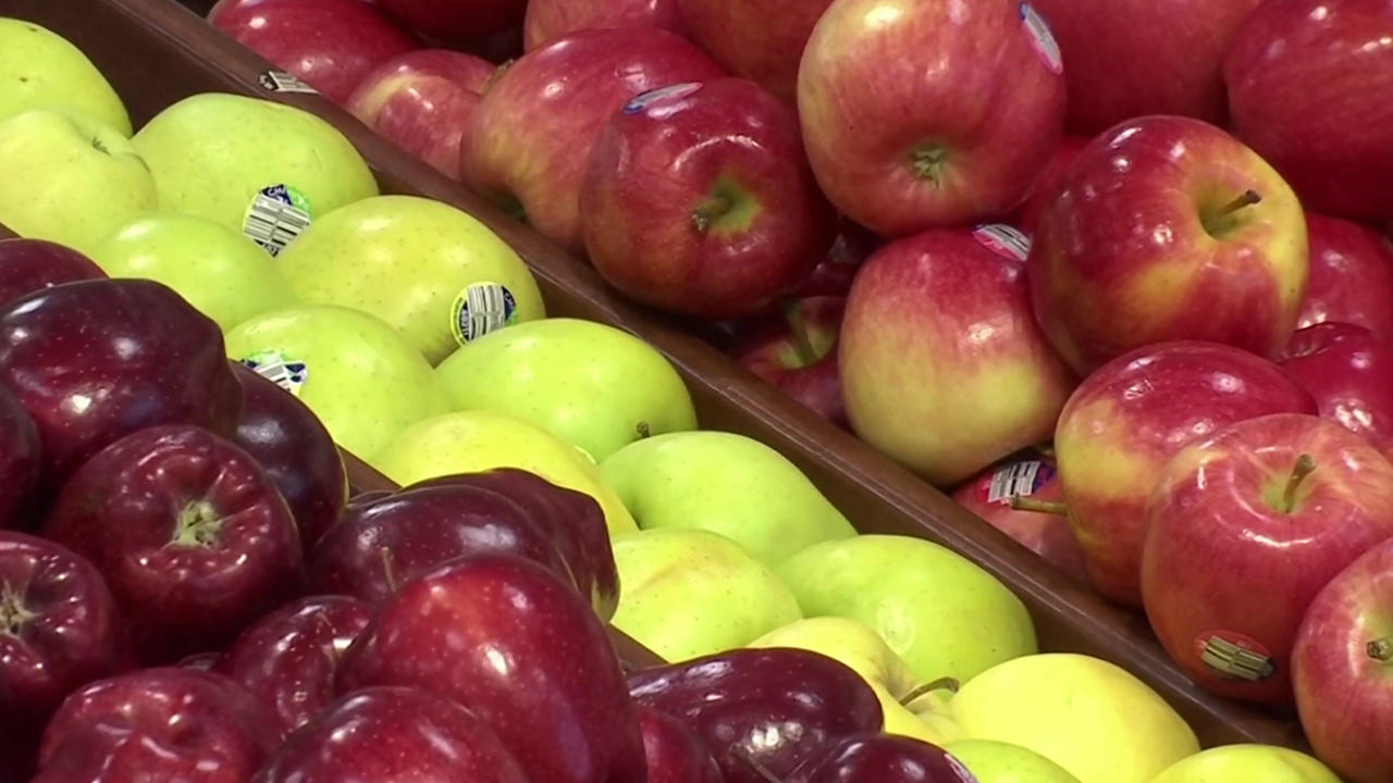Die Vielfalt der Apfelsorten ist geschrumpft Statt 4.000 nur noch etwa sieben Sorten in Läden