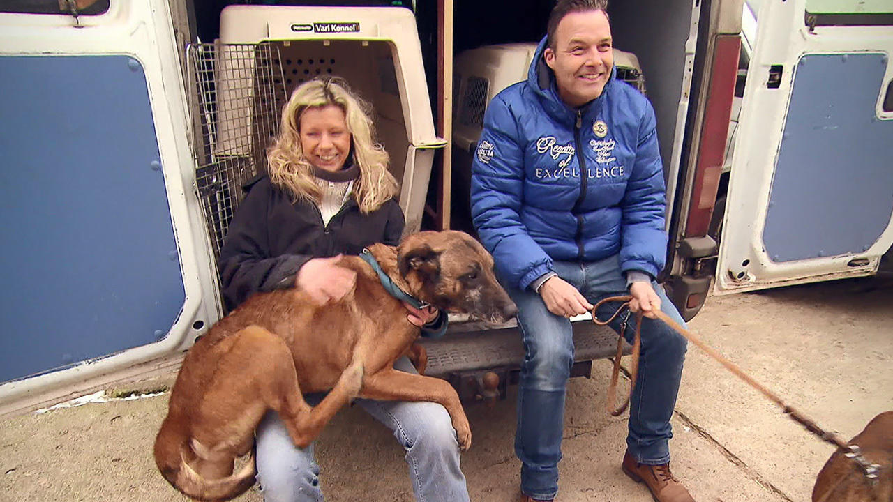 Thorsten Sleegers rettet verwahrloste Hunde Max und Lucy suchen ein neues Zuhaus