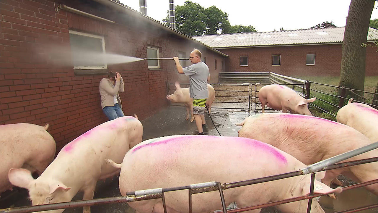 Lustige Wasserspiele bei Claus und Heike Was sich neckt, dass mag sich