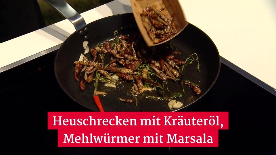 Wie schmecken eigentlich Insekten? Grüne Woche in Berlin