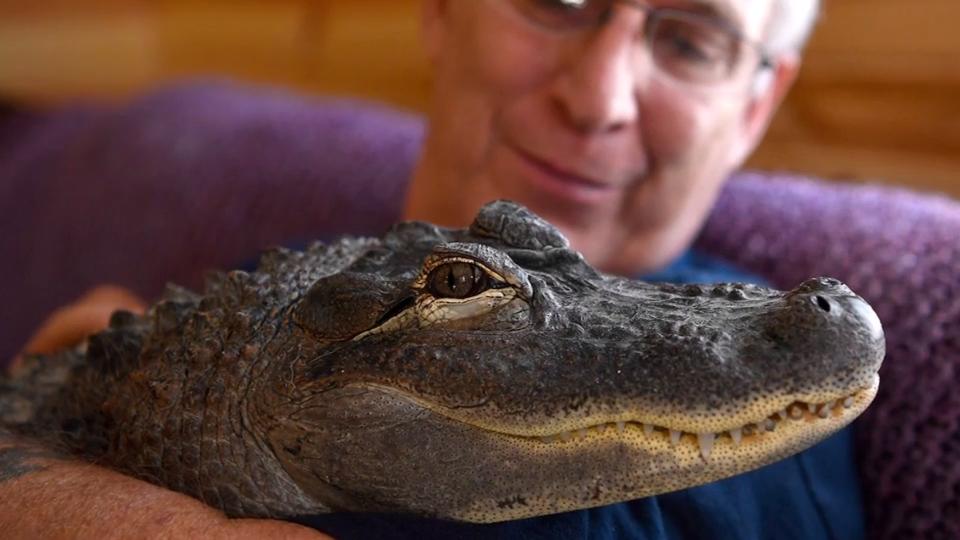 Alligator Wally hilft bei Depression Wunderbare Freundschaft