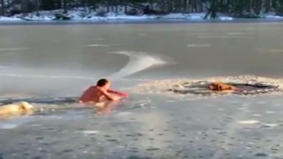Herzerwärmende Rettungsaktion in der Kälte Mann rettet Hunde aus Eiswasser