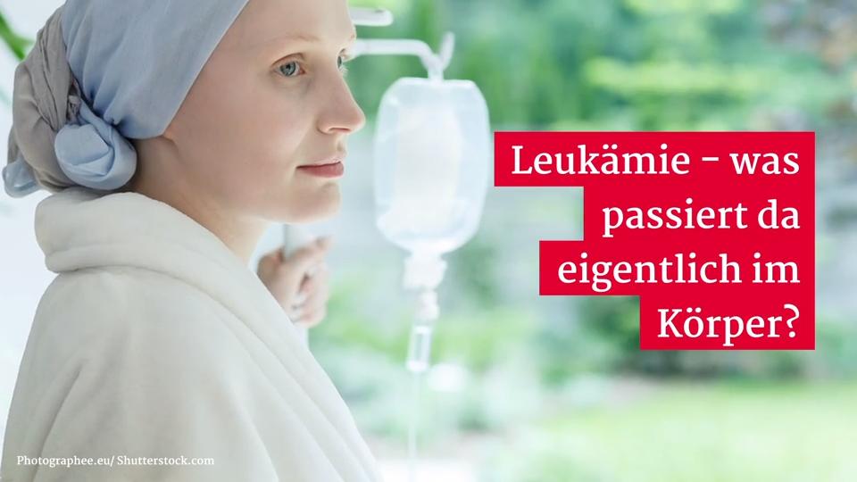 Leukämie - was passiert da eigentlich im Körper? Gesundheitslexikon