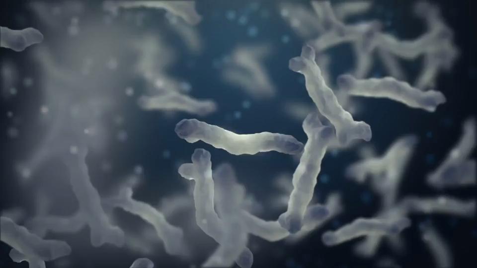 Was ist E. coli? E. coli führt zu Darmerkrankungen